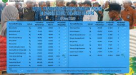 Cabai dan Ikan Turun Harga Pasar Tetap Stabil
