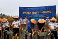 Lapas Labuhan Ruku Panen Raya Jagung