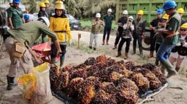 Pemerintah memperkuat daya saing industri sawit melalui Fasilitas Kawasan Berikat untuk mendorong ekspor, hilirisasi, investasi, dan penciptaan lapangan kerja.