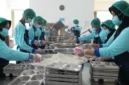BGN menyambut rekomendasi Menteri HAM Natalius Pigai untuk memperkuat mekanisme pemulihan masyarakat terdampak Program Makan Bergizi Gratis.