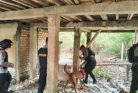 Operasi Narkoba Polda Jambi Amankan Tiga Orang