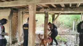 Polda Jambi, Operasi Sarang Narkoba, Pulau Pandan, narkoba Jambi, Ditresnarkoba Polda Jambi, peredaran narkotika, Polresta Jambi, pemberantasan narkoba