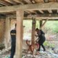 Polda Jambi, Operasi Sarang Narkoba, Pulau Pandan, narkoba Jambi, Ditresnarkoba Polda Jambi, peredaran narkotika, Polresta Jambi, pemberantasan narkoba