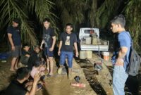 Polda Jambi Ungkap Tambang Emas Ilegal di Bungo